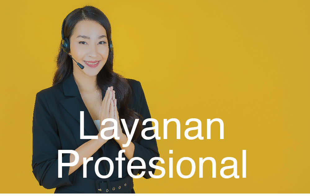 layanan professional